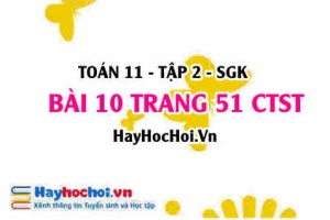Bài 10 trang 51 Toán 11 tập 2 Chân trời sáng tạo